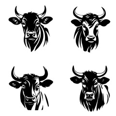 silhoutte of cattle bull