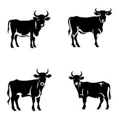 silhoutte of cattle bull