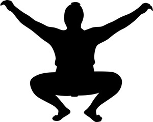 SUMO silhouette