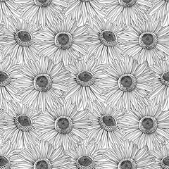 Seamless pattern of Hand Drawn floral plants camomile flowers. Botanical greenery chamomile flower. Line herb flowers daisy. Illustration on white background.