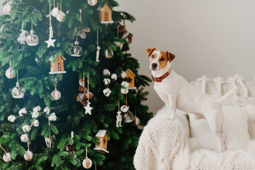 A Jack Russell Terrier sits attentively beside a decorated Christmas tree with handmade ornaments...