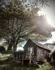 old abandoned house tree house nature wooden cottage barn in Mundui House Naivasha Nakuru City County Kenya East Africa Landscape Great Rift Valley Farm