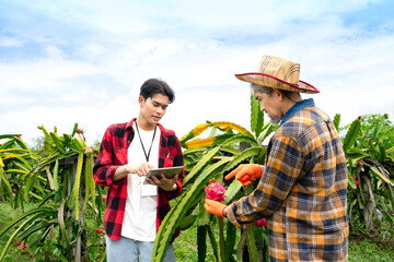 young asian man researcher interview senior man farmer and checking quality of dragon fruits with...