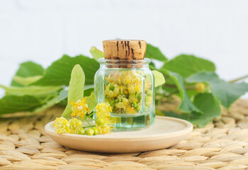 Small vintage bottle with linden (tilia, basswood, lime tree) flowers. Herbal medicine, phytotherapy and aromatherapy concept.
