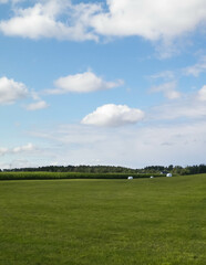 Harvest bales on a green field. End of the summer.