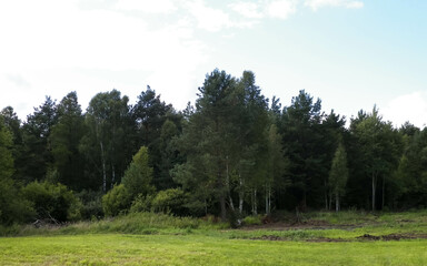 Obraz premium Green field landscape. Kashubia region of Poland