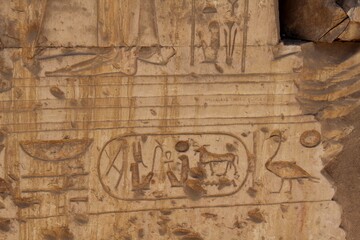 Inscriptions on the walls and columns of seti 1 temple in Abydos in Sohag in Egypt