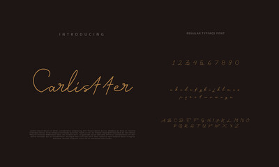 Handwritten Script font. Hand drawn brush style modern calligraphy cursive typeface. Hand Lettering and Custom Typography alphabet for Designs: Logo, Greeting Cards, Poster. Vector Brush type set.
