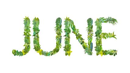 JUNE, month, word or text made from various kinds of leaves isolated on transparent background, PNG, suitable for template design 