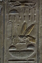 Inscriptions on the walls and columns of seti 1 temple in Abydos in Sohag in Egypt