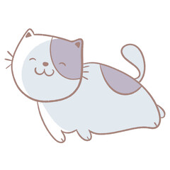 Blue cat