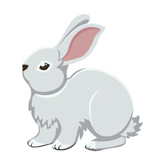 Hare. Cartoon graphic drawing. Close-up. White background. For web design, print, kids illustrations, stickers.