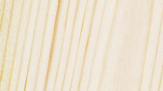 Wooden surface, close-up tree structure, processed, with horizontal parallel thin rotating, turning, close-up macro, top view