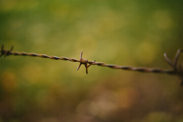 Barbed wire close up detail shot. Shallow depth of field, bokeh background, no people