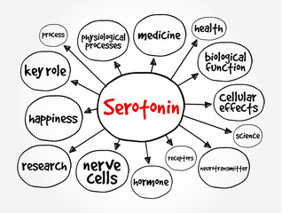Serotonin is a chemical that carries messages between nerve cells in the brain and throughout your body, mind map text concept background