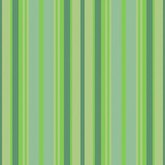 Vertical lines stripe pattern. Vector stripes background fabric texture. Geometric striped line seamless abstract design.