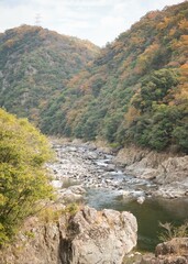 日本　秋の風景　関西　大阪