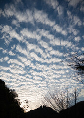 日本　秋の風景　関西　大阪