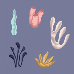 Set of watercolor seaweed. Template for card, poster, banner, paper, fabric, textile. Vector illustration on isolated background in modern style.