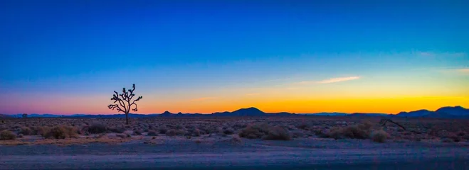 Foto op Plexiglas Las Vegas, United States - February 22 , 2013 : The dry desert countryside next to the road while the sun has set over between las vegas and los angeles © oliver de la haye