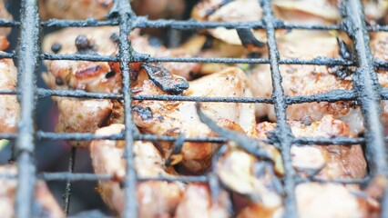 Close-up of cooking meat on grill. Concept. Juicy meat is cooked on grill in nature. Delicious meat...