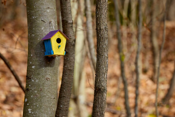 a beautifully colored birdhouse in the forest, hanging on a tree.