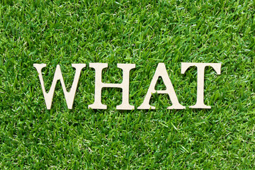 Wood letter in word what on green grass background