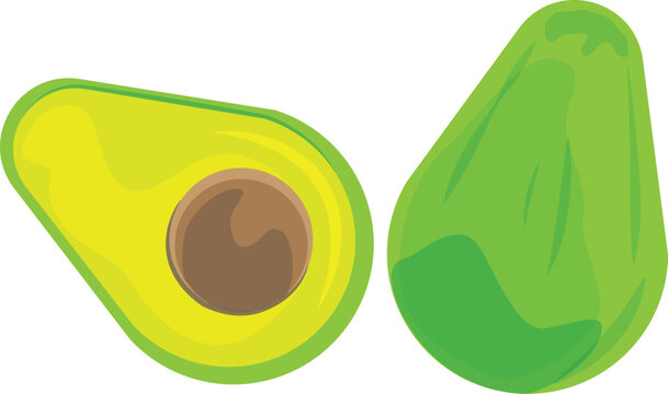 Avocado side view design. Vector illustration. Transparent background.