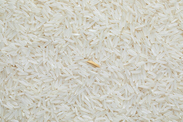 A grain of rice is in the rice. Rice and paddy background. Rice close-up. white rice background.