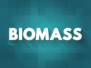 Biomass - matter from recently living organisms which is used for bioenergy production, text concept background
