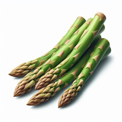 Asparagus  Fresh Vegetable Isolated on White Background