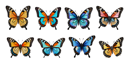 
Collection of colorful butterflies isolated on transparent background PNG AI Generative