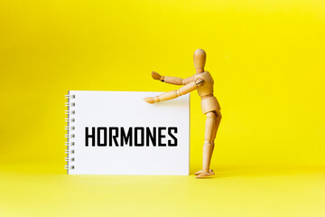 HORMONES written on a notepad on a yellow background held by a wooden doll. Medical concept