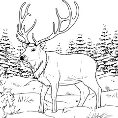 Santa's Reindeer coloring page