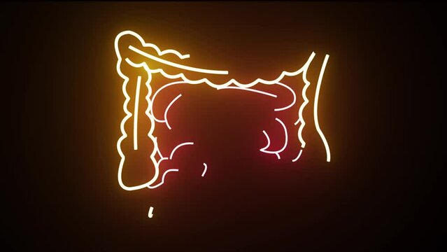 Yellow neon anatomy of the human digestive system. Anatomy of the human digestive system, concept of the intestine. Neon Human Intestine motion
