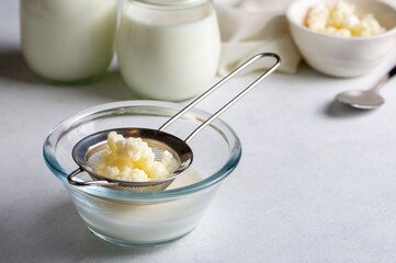 Kefir fermented milk drink with kefir grains. Homemade kefir stands in a glass, next to kefir...
