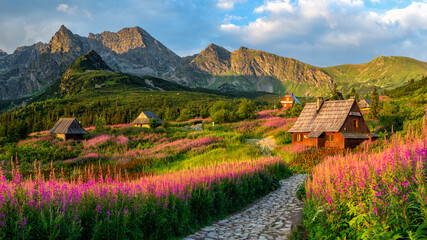 Tatra mountains landscape panorama, Poland colorful flowers and cottages in Gasienicowa valley (Hala Gasienicowa), warm summer morning