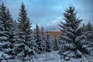 winter landscape in chech mountains