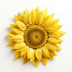 Sunflower's Radiant Face, Stemless, Isolated on White