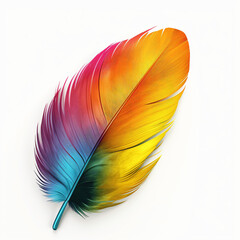 Colorful Parrot Feather Isolated