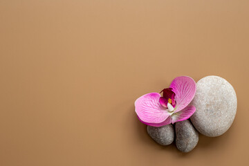 Zen stones with lotus flower - purity harmony and balance concept