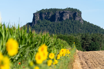 Landschaft im Nationalpark Sächsische Schweiz in Sachsen Deutschland