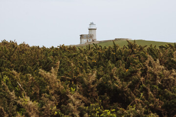 lighthouse on the coast