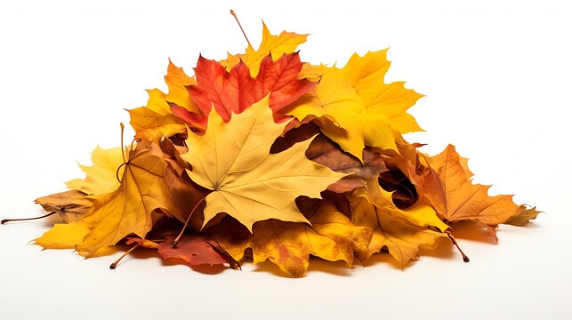a pile of yellow and orange leaves