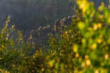 Sandstein Felsen Landschaft mit Wald Bäumen im Nationalpark Sächsische Schweiz 