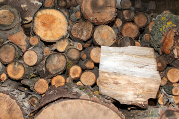 Pile of a stacked logs