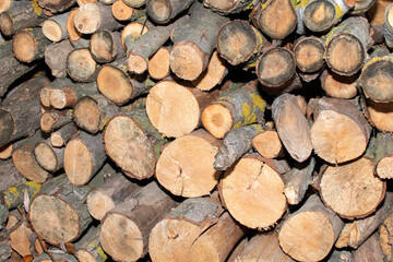 Pile of a stacked logs
