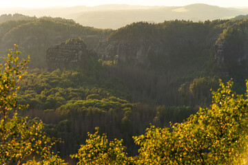 Sandstein Felsen Landschaft mit Wald Bäumen im Nationalpark Sächsische Schweiz 