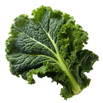 Kale png. Fresh lettuce leaf png. Spinach png. Green leafy vegetable png. Kale top view png. Kale flat lay png. Leaf cabbage png. Brassica oleracea png