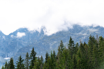 mountain view forest landscape Poland Zakopane